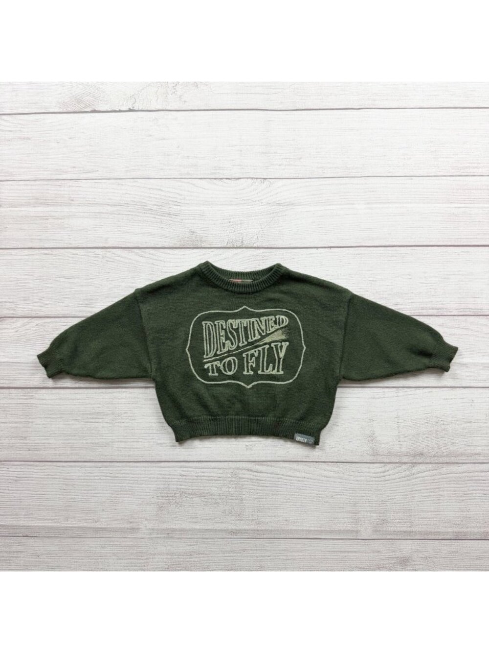 Wicked Universal Destined To Fly Toddler Green Crewneck Sweater 9-12 Months